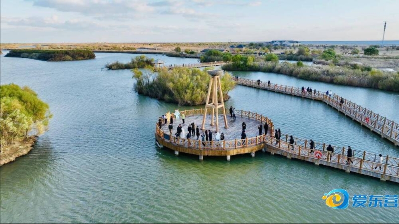 埃斯特旺 埃斯特旺