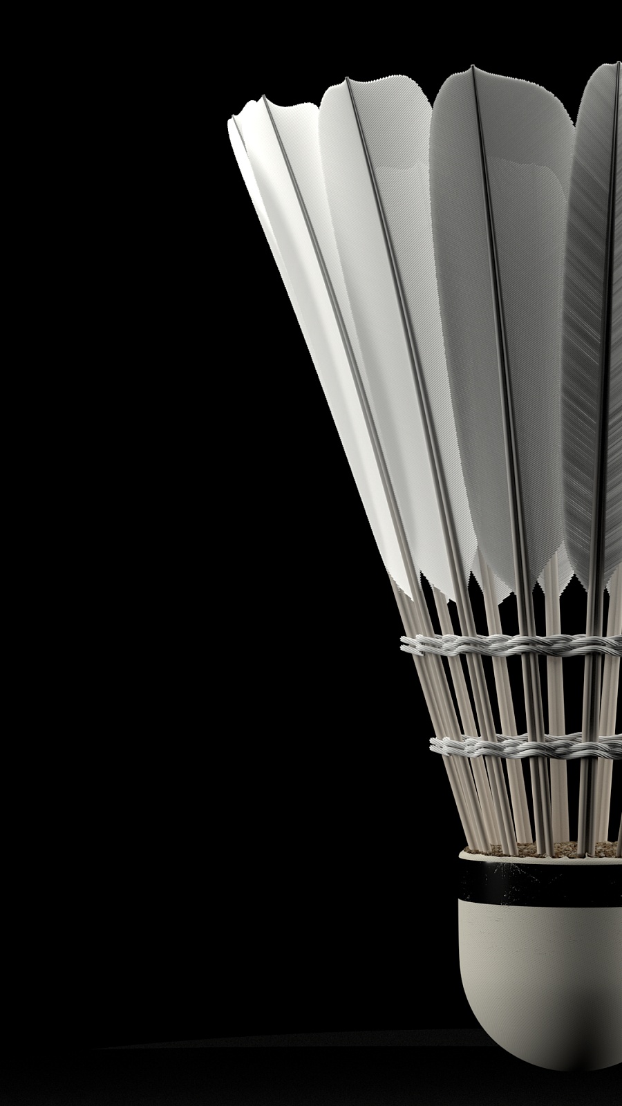 是夺目的 是夺目的