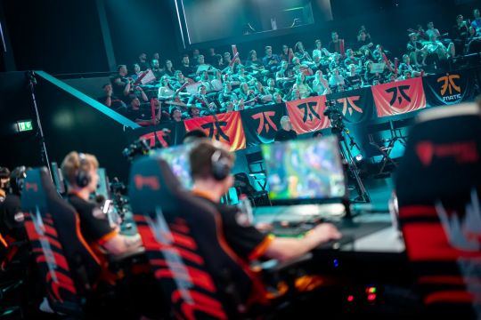 他球队的引 他球队的引