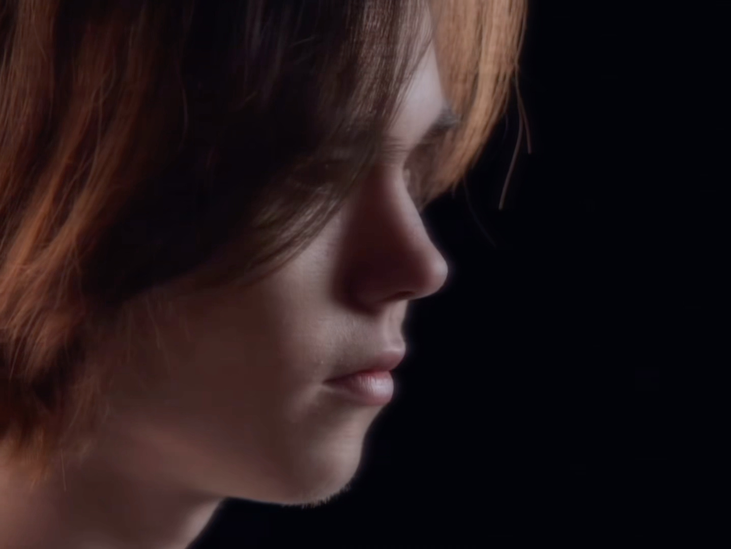 理论依据 理论依据