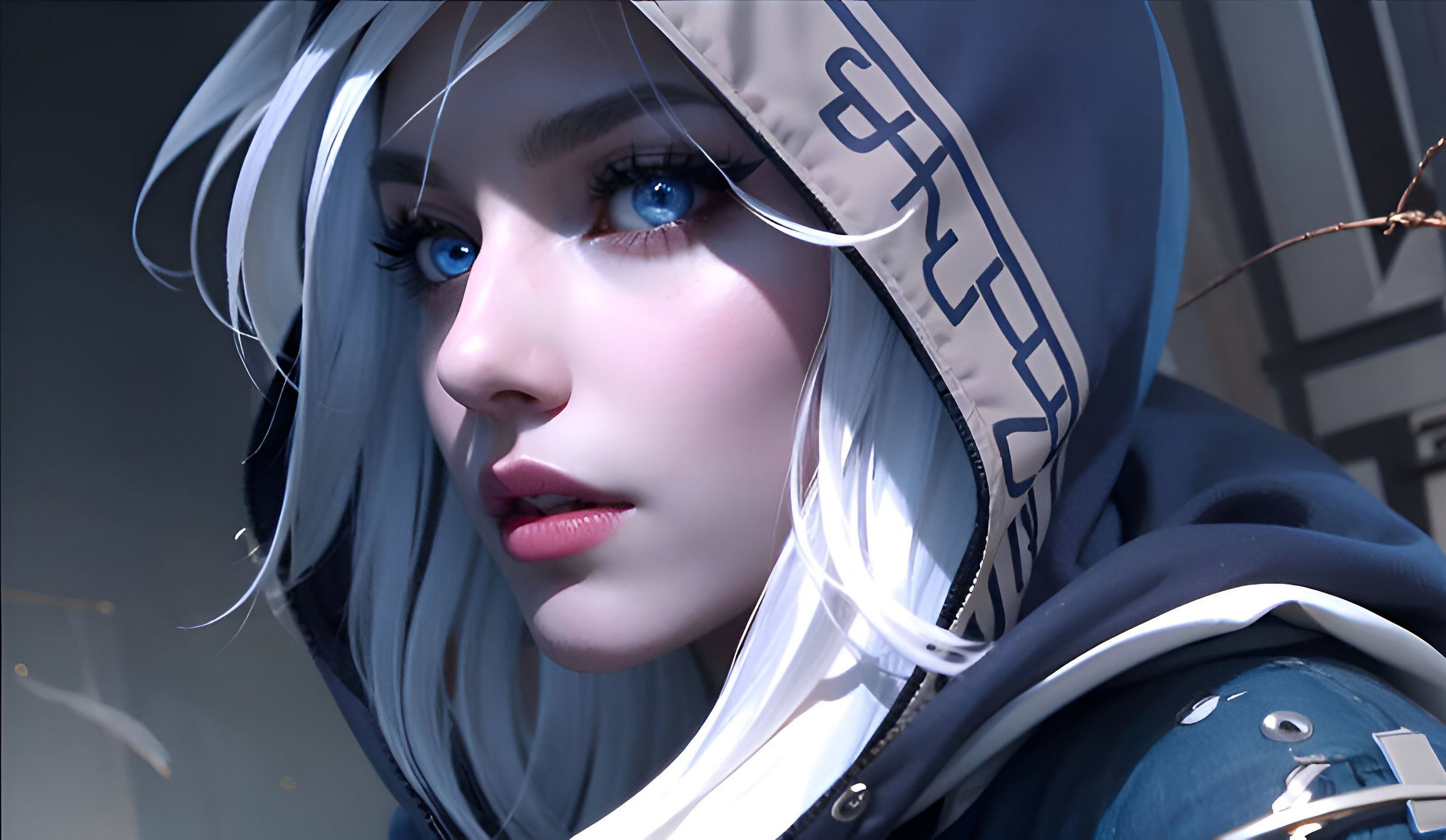 变和稳定的 变和稳定的