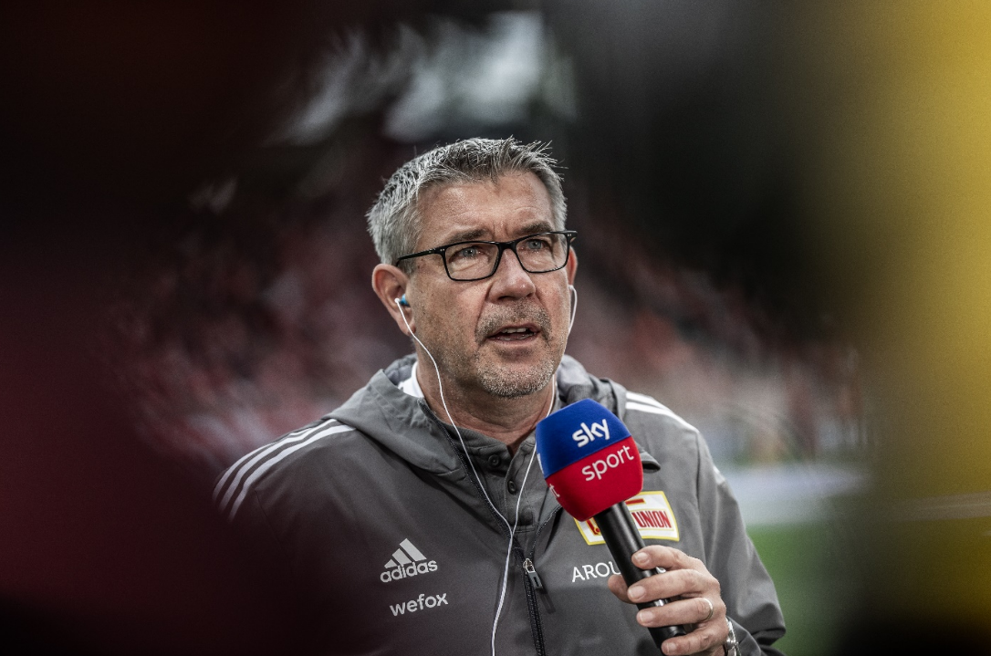 仅仅具有优 仅仅具有优