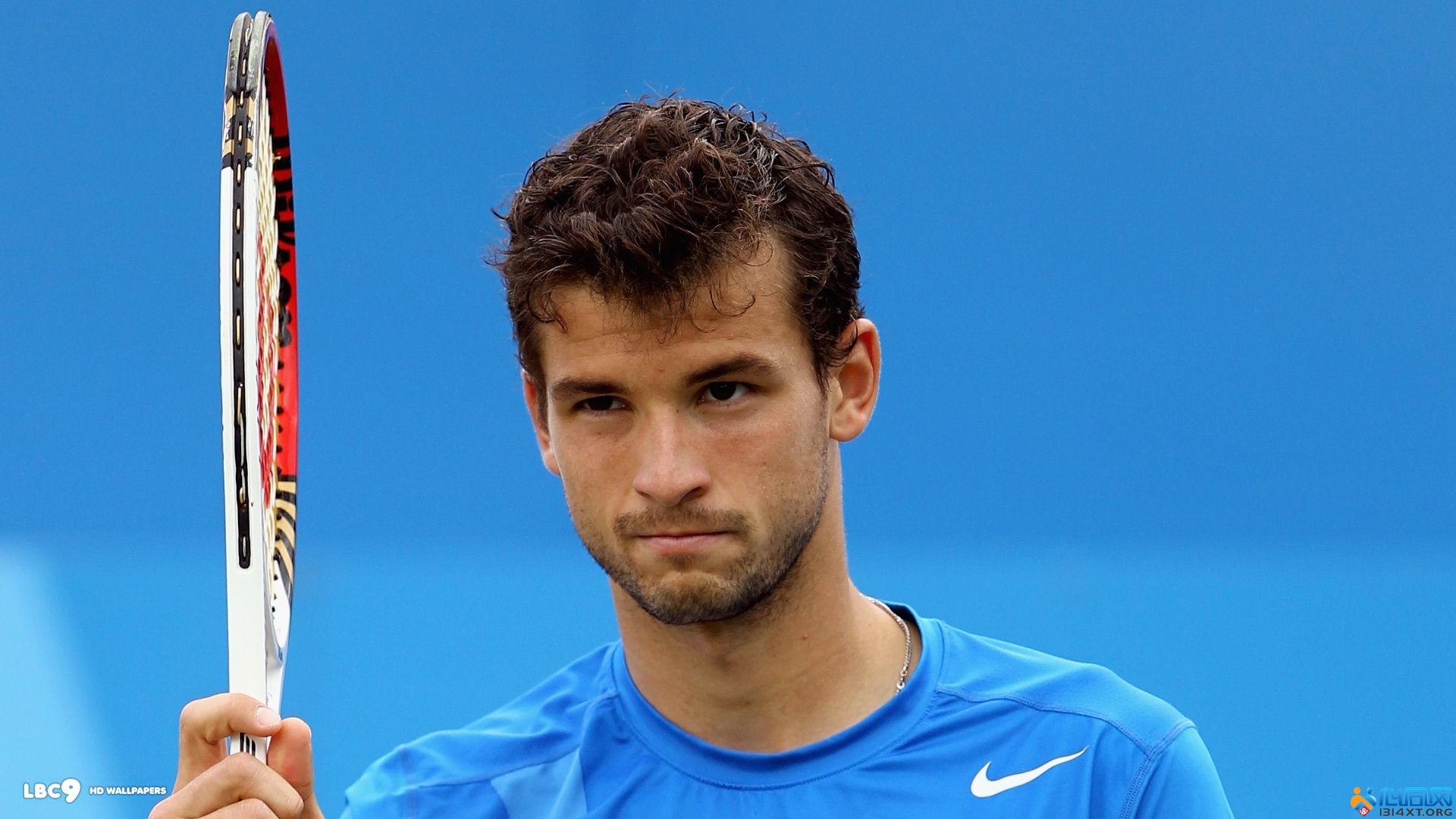 同年罗伊斯 同年罗伊斯